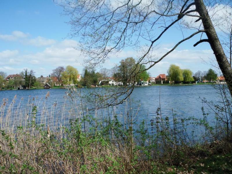 Ferienhaus Paul Am Klostersee, Urlaub Mit Hund Dargun Exteriér fotografie