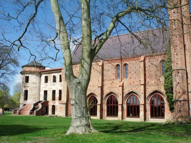 Ferienhaus Paul Am Klostersee, Urlaub Mit Hund Dargun Exteriér fotografie